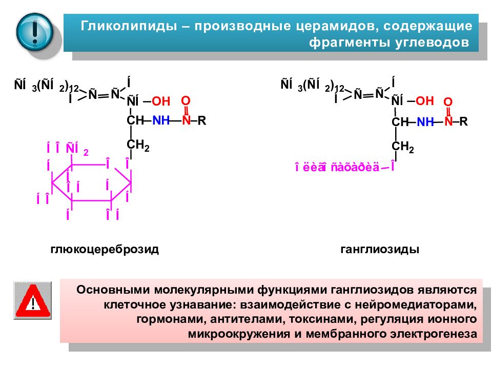 Гликолипиды. Ганглиозид формула структурная. Ганглиозид биологическая роль. Ганглиозиды строение биологическая роль. Гликолипиды ганглиозиды.