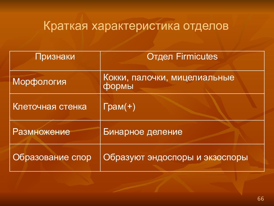 Отдел проявить. Отдел firmicutes. Фирмикуты микробиология. Морфология и строение клеток фирмикут (firmicutes). Охарактеризуйте Филу firmicutes.