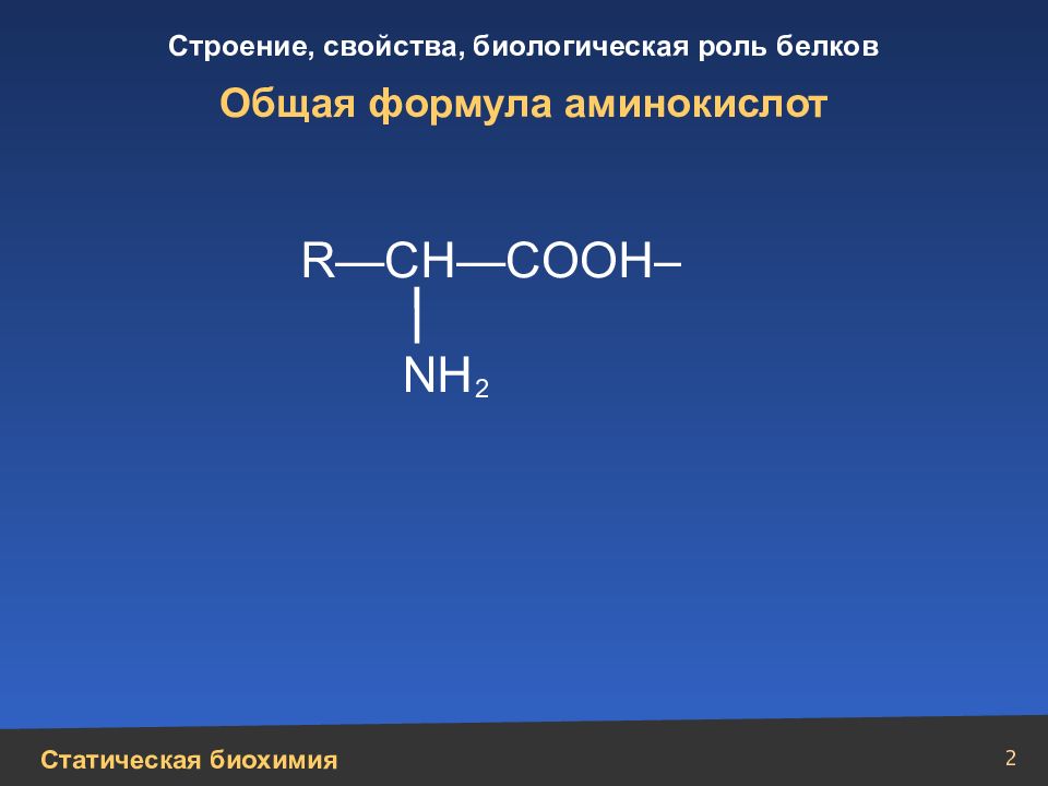 Биологическое значение аминокислот презентация