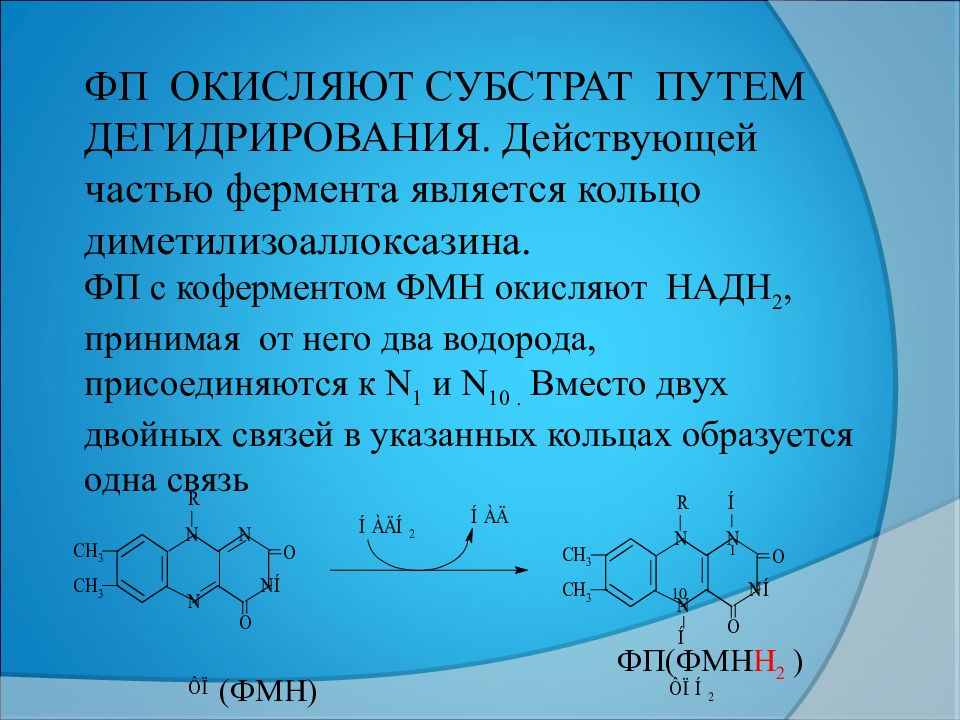 Окислительно-субстратное. Дегидрирование субстратов и окисление водорода. Дегидрирование субстратов и окисление водорода. Дегидрирование субстратов и окисление водорода. Характеристика надн дегидрогеназы.