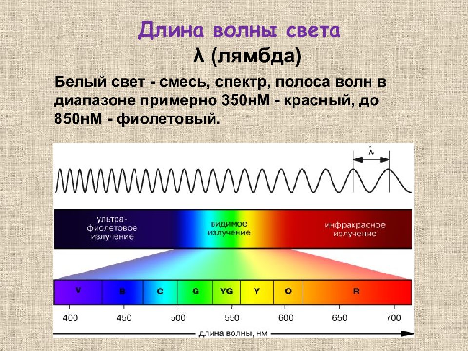 Вид волны света. Длина световой волны НМ. Длина волны света. Длины волн спектра. Световой спектр.