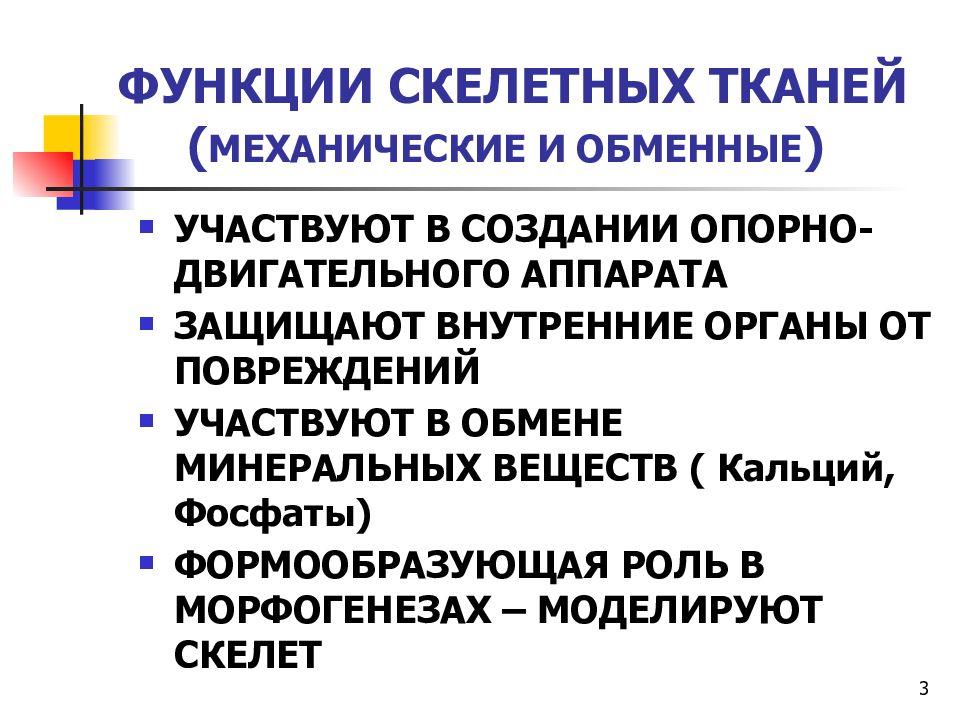 Скелетные ткани презентация