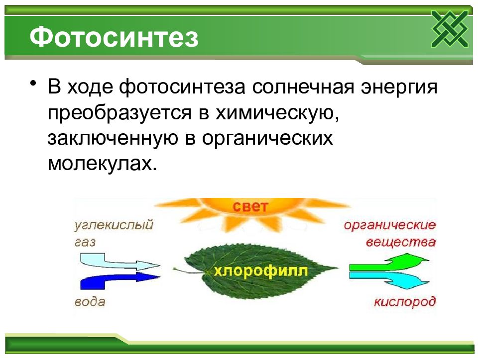Вода выделяется при фотосинтезе. Энергия фотосинтеза. Энергия при фотосинтезе растений. Фотосинтез схема. Схема фотосинтеза у растений.