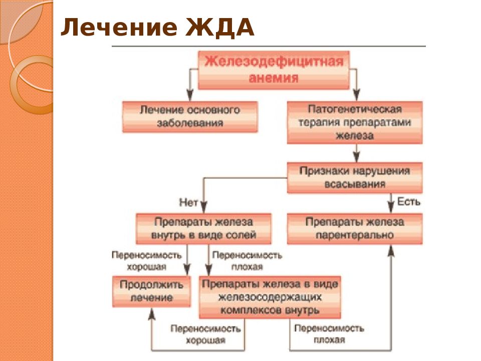 Лечение анемий рекомендации. Анемия клинические рекомендации. Лечение жда клинические рекомендации. Железодефицитная анемия лечение. Железодефицитная анемия клинические рекомендации лекарство.