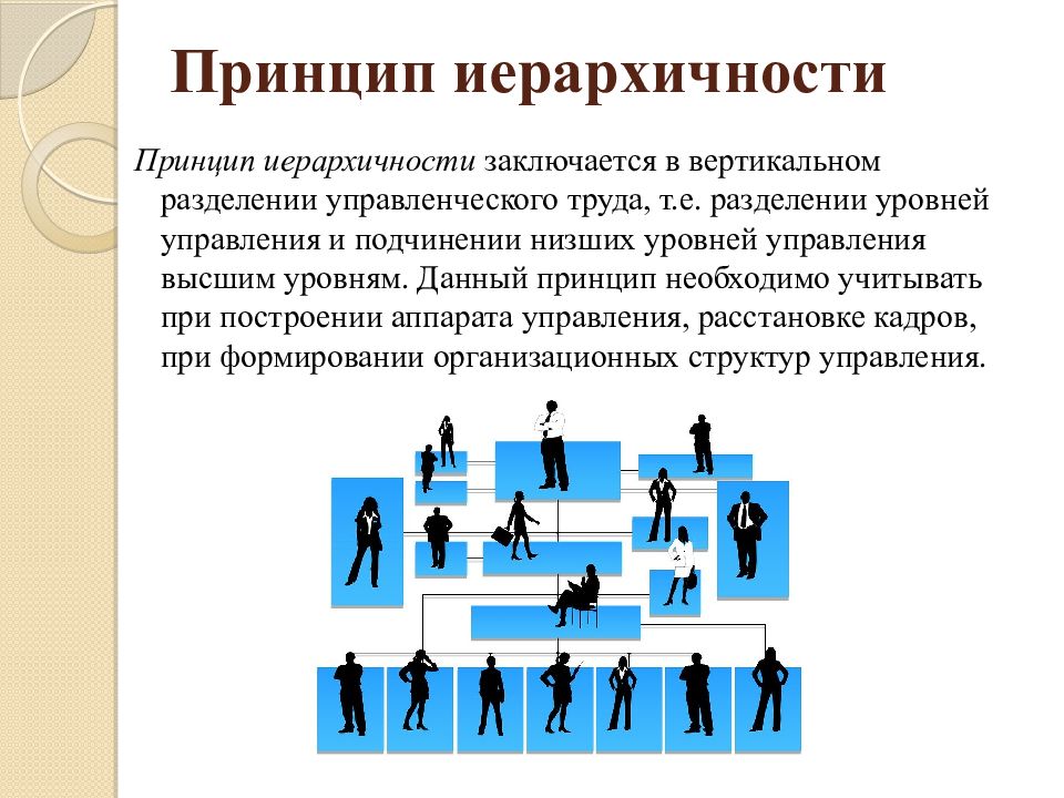 Данный принцип. Принцип иерархичности в менеджменте. Принципы управления управленческого труда. Принцип управляемости. Принципы управления Разделение труда.