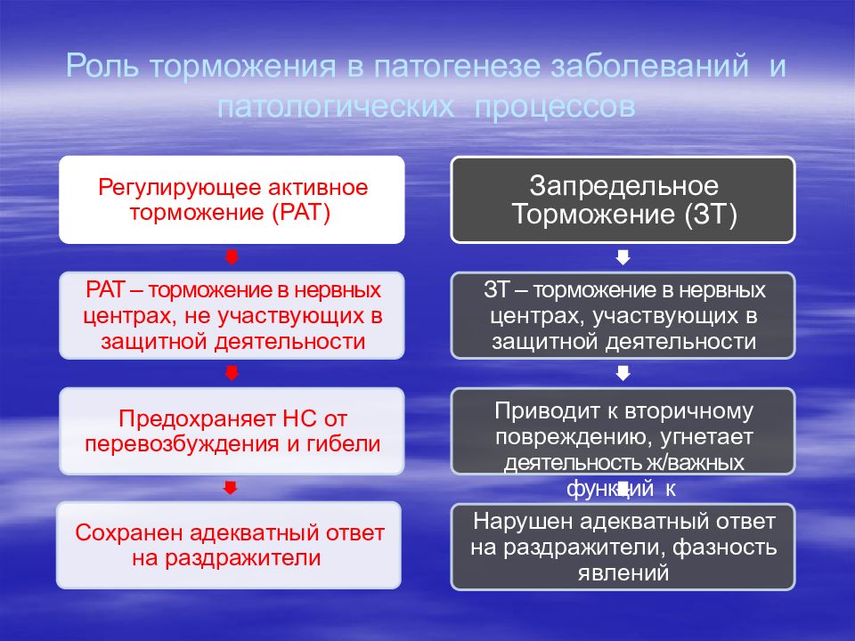 Механизм развития торможения. Запредельное торможение. Запредельное торможение примеры. Запредельное торможение физиология. Внешнее и запредельное торможение это примеры.