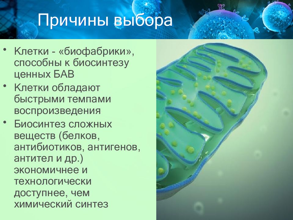 Селекция биология 9 тест. Антибактериальный белок.