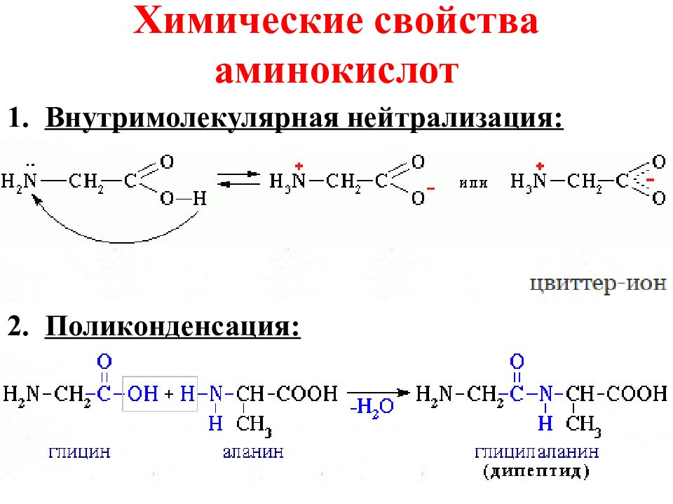 Реакция поликонденсации аминокислот