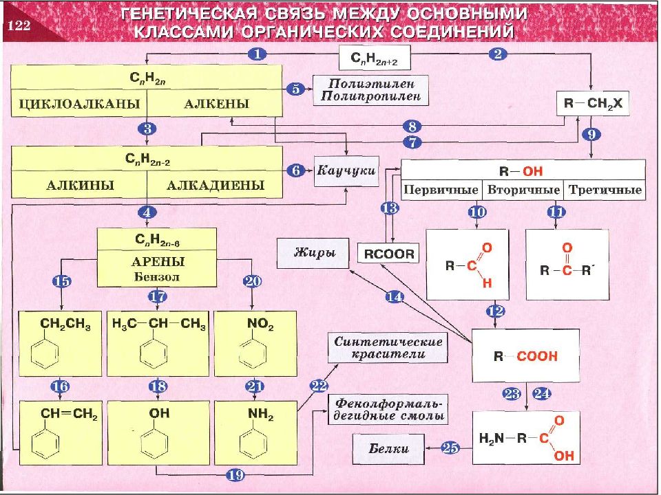 Генетическая связь презентация