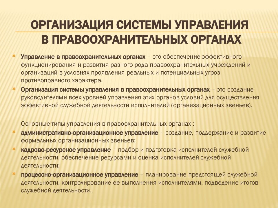 Организация системы управления в правоохранительных органах