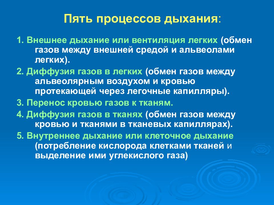 Возрастные особенности дыхательной системы презентация