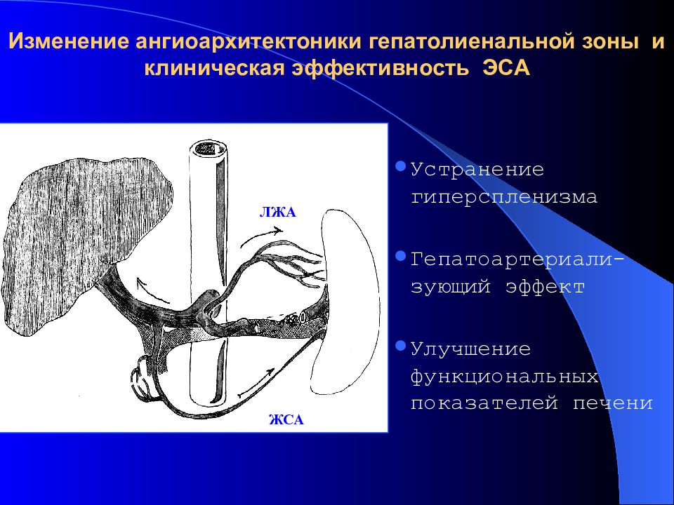 Портальная гипертензия хирургия презентация