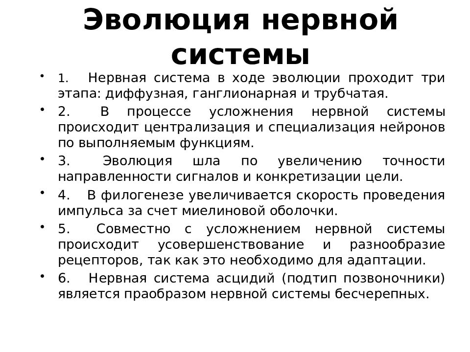 Шел развития. Этапы развития нервной системы. Эволюция нервной системы этапы развития нервной системы. Эволюции нервной системы беспозвоночных и позвоночных. Эволюция нервной системы позвоночных кратко.