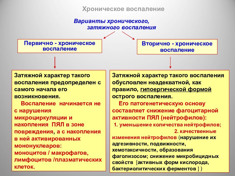 Хроническое воспаление презентация