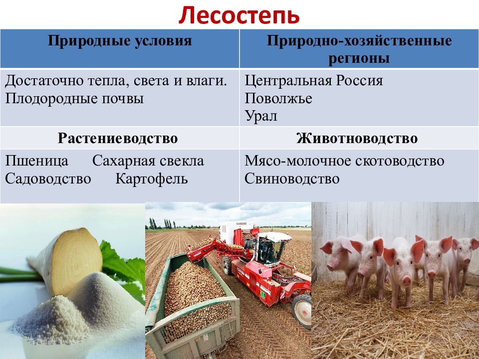 Отрасль специализации растениеводства. Зональная специализация сельского хозяйства. Растениеводство Урала. Район зональная специализация сельского хозяйства. Отрасли пригородного сельского хозяйства.