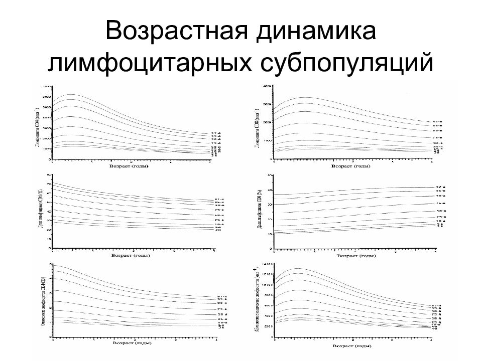 Возрастная динамика