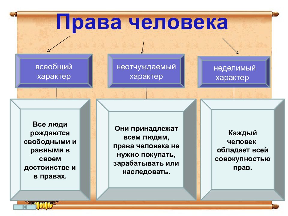 Всеобщий характер. Всеобщий характер прав человека это.