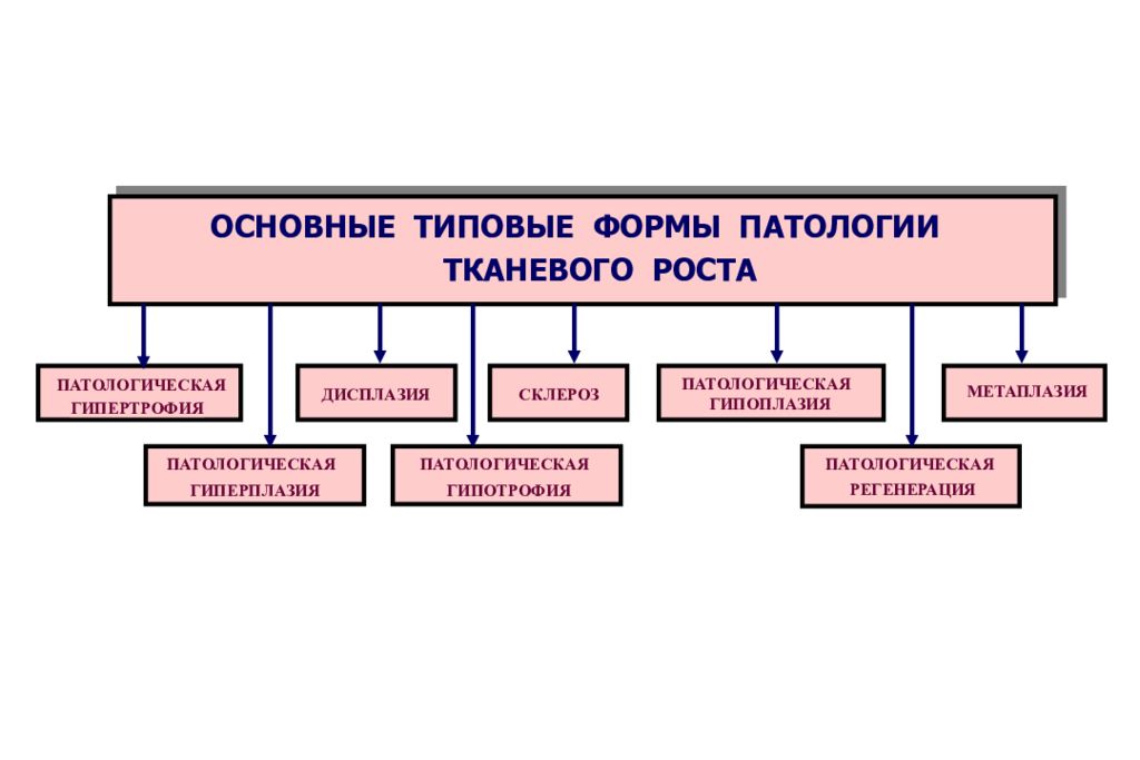 Нарушение роста. Типовые формы патологии тканевого роста. Виды нарушений тканевого роста. Виды нарушений патологии тканевого роста. Общая характеристика патологии тканей: ее формы..