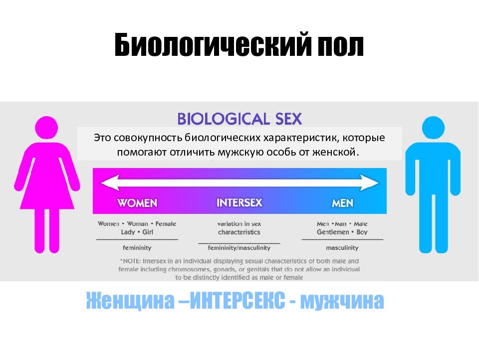 Презентация пол и гендер