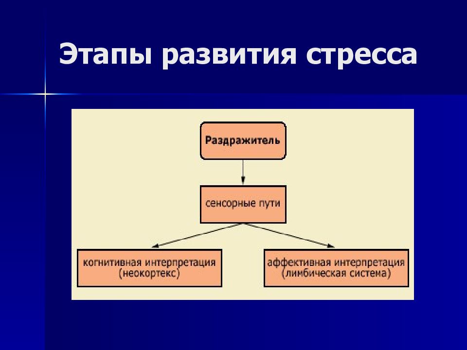 Стадии состояния. Этапы развития стрессоустойчивости. Хирургический стресс этапы развития. Борьба с стрессом функциональная система.