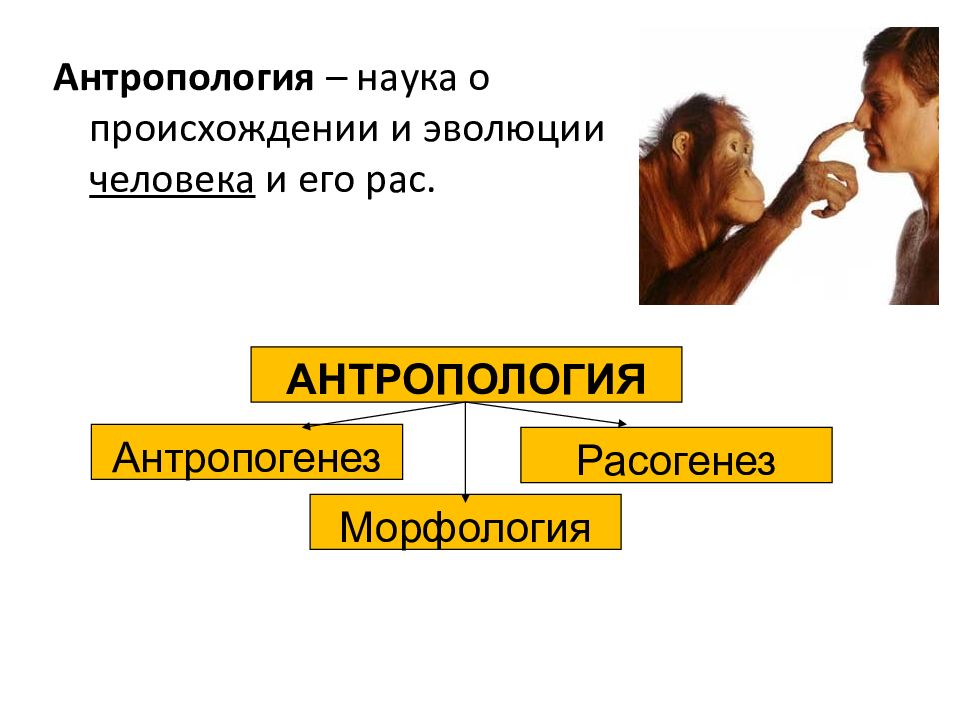 Расогенез это. Антропология как наука. Факторы Расогенеза. Гипотезы Расогенеза. Социальные факторы Расогенеза.