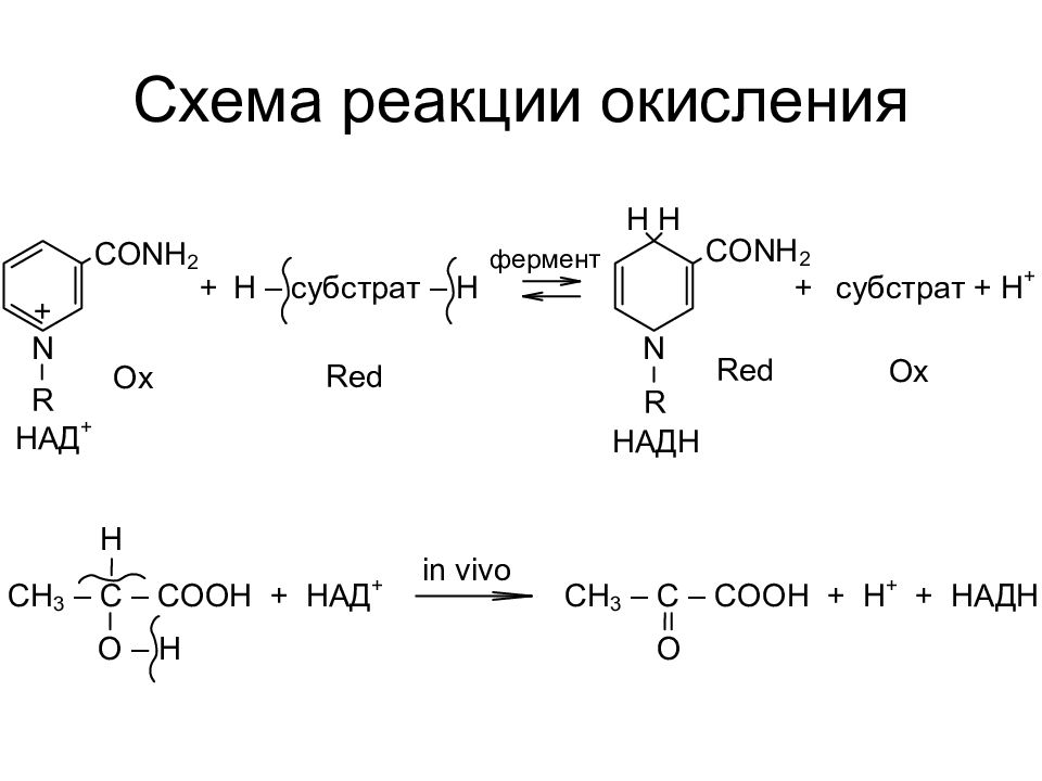 Напишите схему реакции. Реакция окисления пуринов. Окисление циклоалканов в щелочной среде. Окисление циклоалканов схема. Реакция окисления циклоалканов.