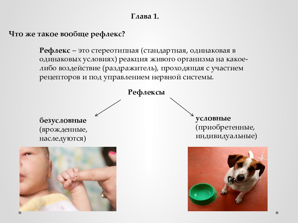 Отметь картинки у и на которой ых представлены безусловные рефлексы