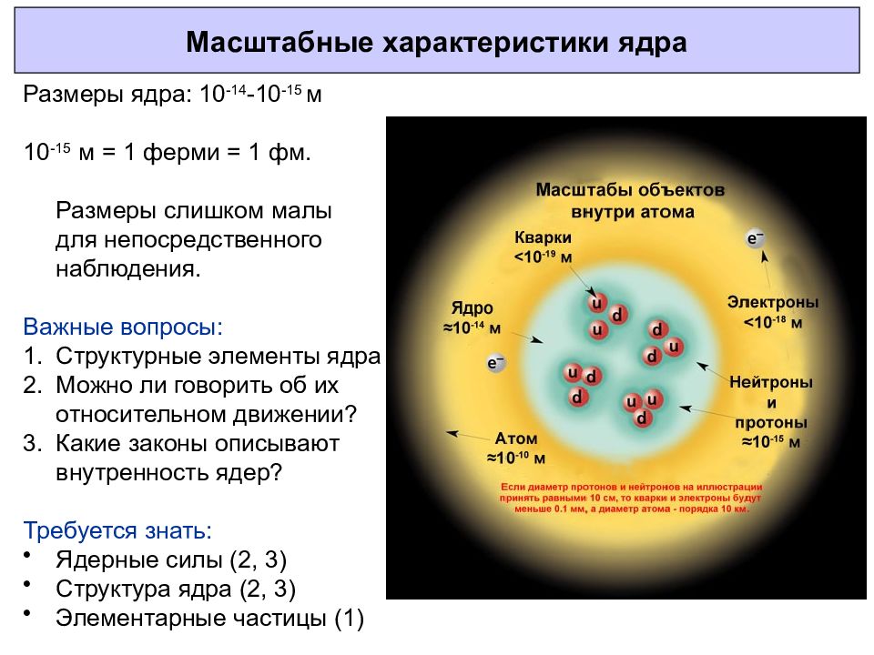 Элементарные частицы входящие в ядро атома. Ядро атома. Размер ядра. Строение ядра ядерная физика. Размер атомного ядра.