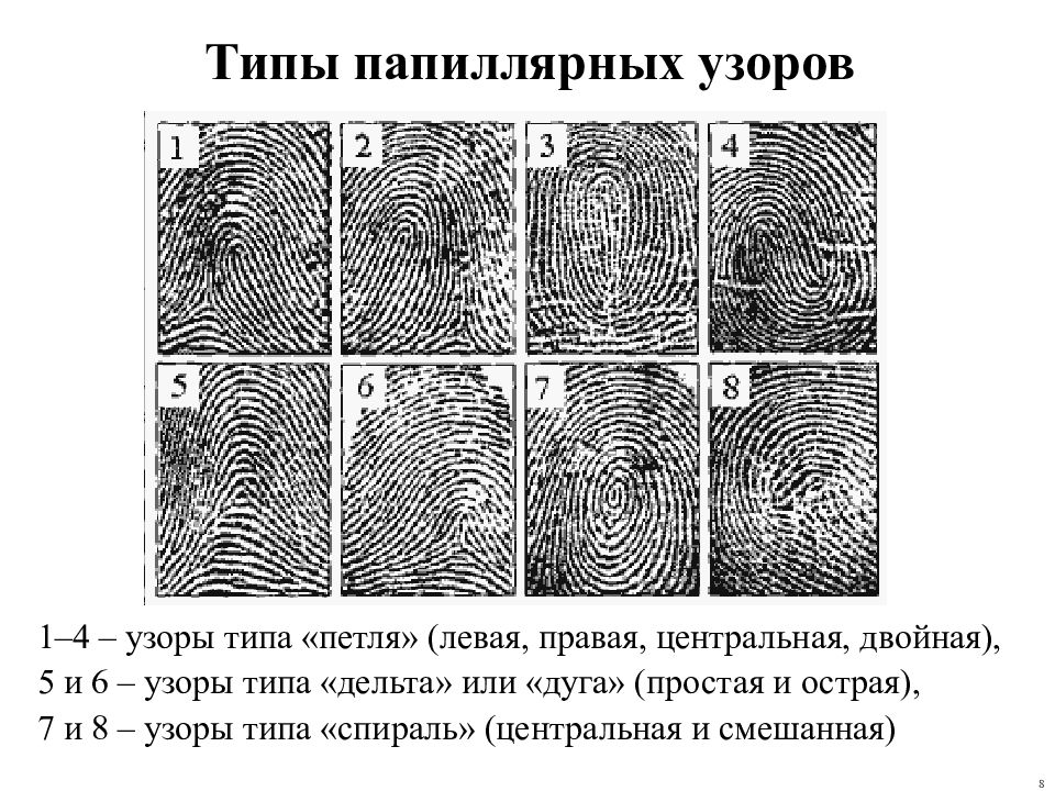 Узоры пальцев в криминалистике