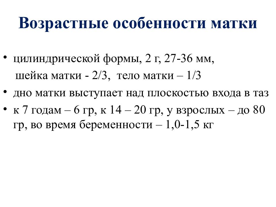 Возраст матки. Возрастные особенности матки. Возрастные изменения матки. Возрастные особенности половые системы. Цилиндрическая форма матки.