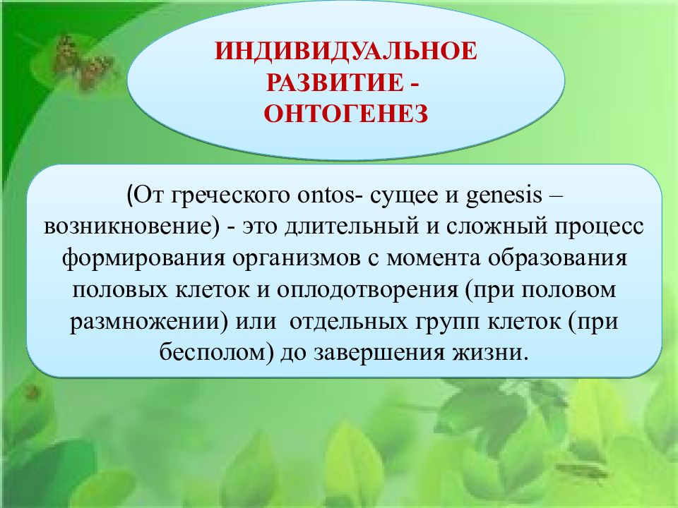 1 индивидуальное развитие. Индивидуальное развитие организма. Индивидуальное развитие онтогенез. Индивидупльноеразвитие это. Определение индивидуальное развитие.