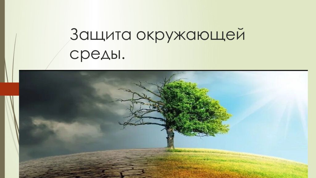 Презентация экология и безопасность обж 8 класс презентация