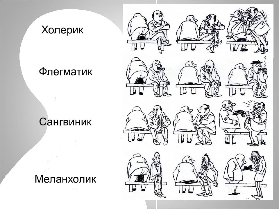 Сангвиник меланхолик картинки