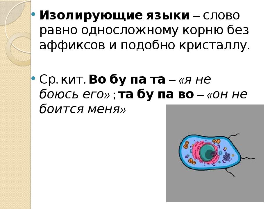 Август шлейхер презентация