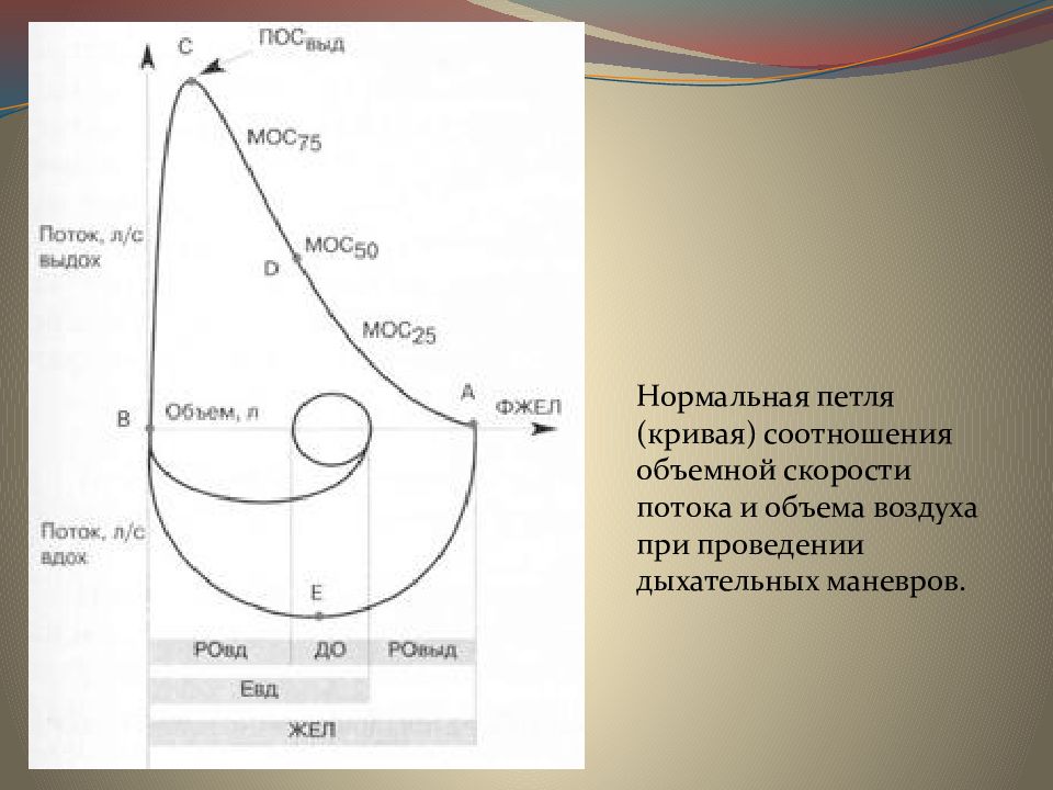 Спирография с сальбутамолом