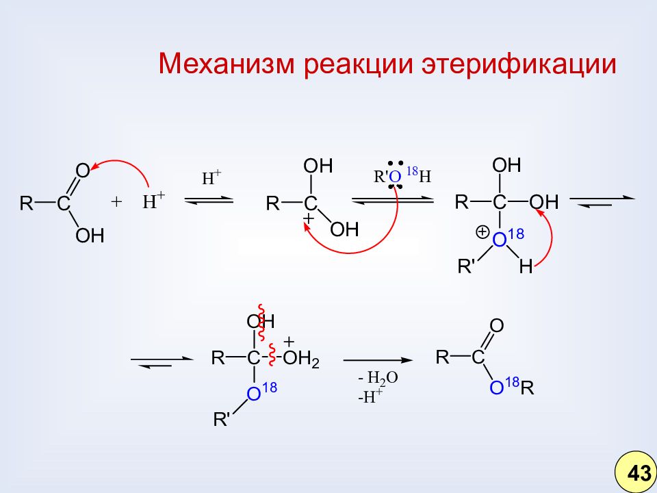 Механизм реакции. Этерификация механизм реакции SN. Реакция этерификации механизм реакции. Механизм реакции этерификации. Механизм элементарной реакции.