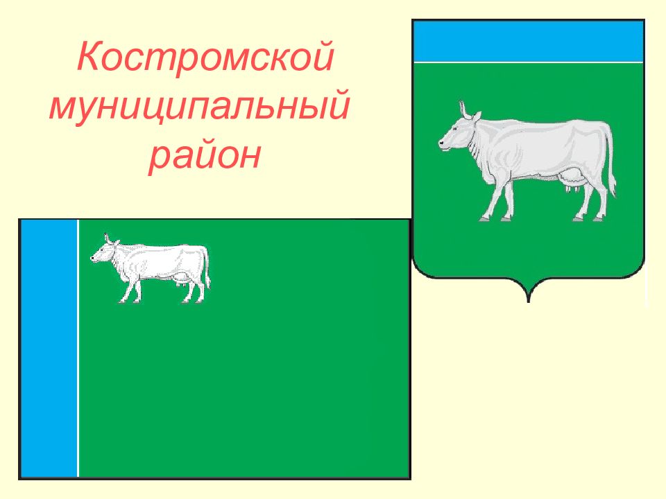 Герб Костромской Области Фото