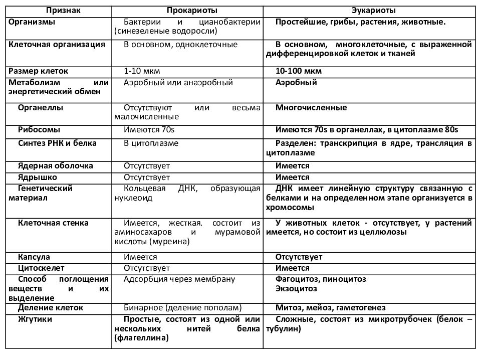 Сравнения клеток эукариот. Сравните клетки эукариот и прокариот. Отличие прокариот от эукариот таблица. Сравнительная характеристика прокариот и эукариот таблица 11 класс. Сравнение клеток прокариот и эукариот таблица 9 класс.
