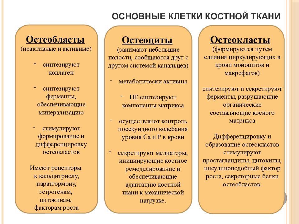 Биохимия костной ткани презентация