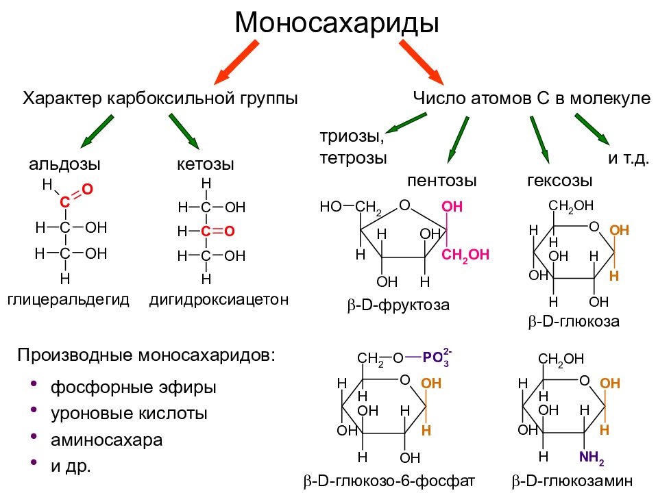 Моносахариды презентация по химии