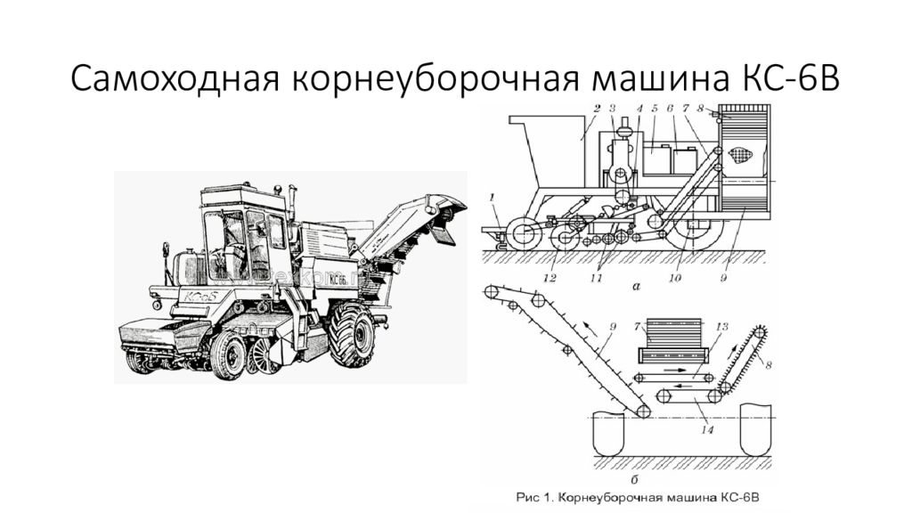 Способы уборки сахарной свеклы