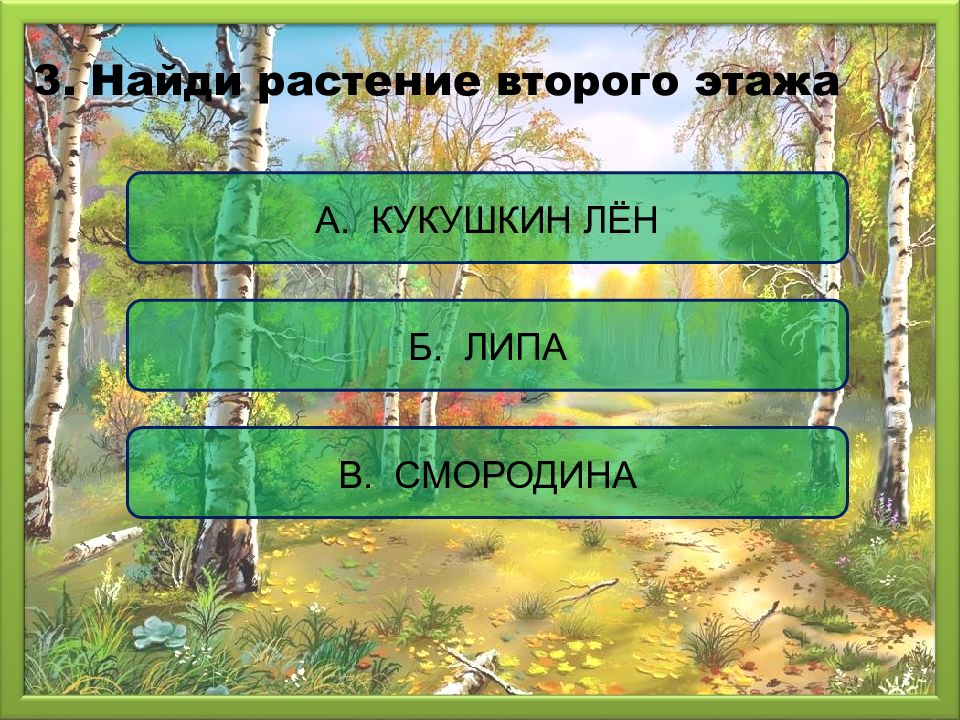 Общество окружающий мир 3 класс презентация