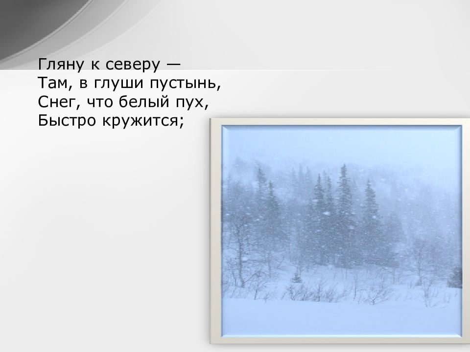 К северу к северу. Гляну к северу там в глуши пустынь снег. Никитин Русь стихотворение. Снег что белый пух быстро кружится. Гляну к северу там глушь снег что белый пух быстро кружится.