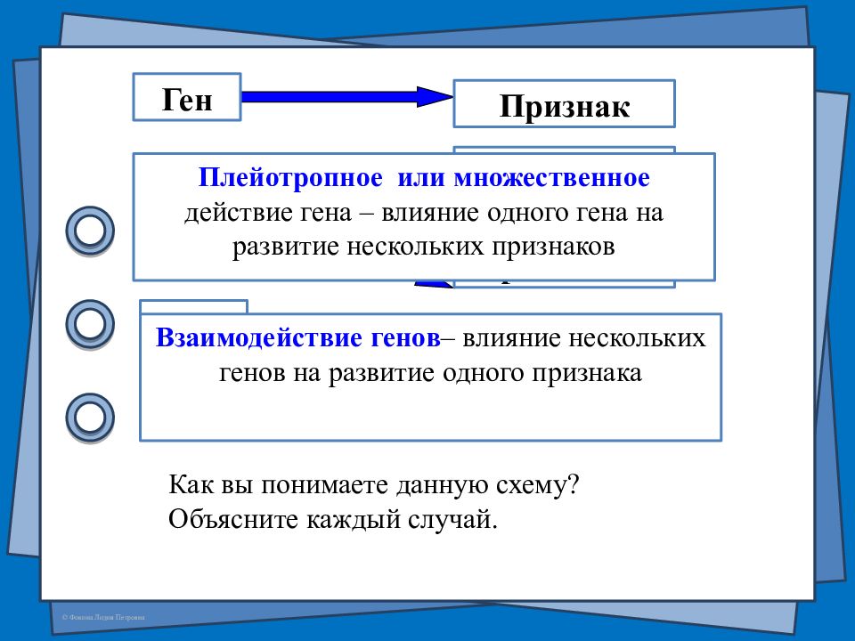 Действие гена. Множественное действие и взаимодействие генов. Множественное действие Гена плейотропия. Презентация множественное действие Гена. Множественное взаимодействие генов . Плейотропия.