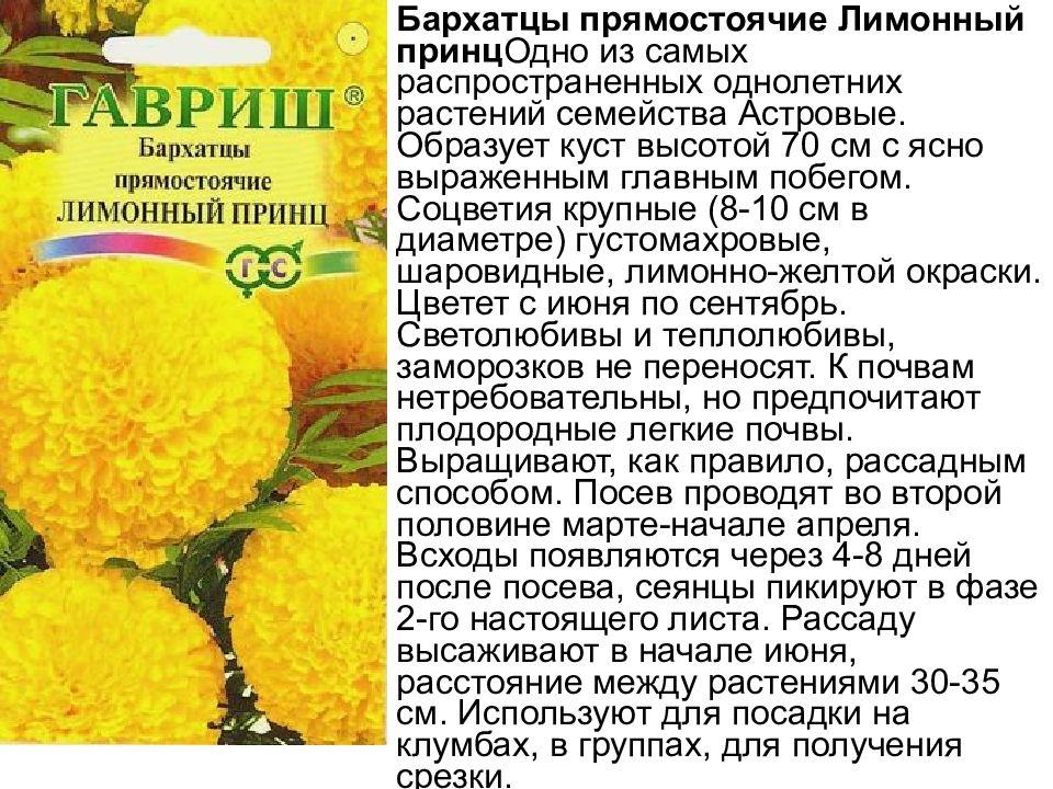 Лабораторная работа Изучение изменчивости, критериев вида, результатов