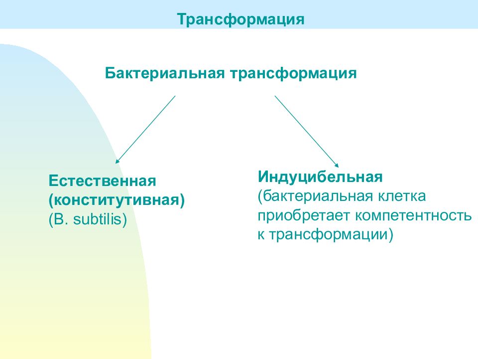 Преобразование материалов. Естественная компетентность у бактерий. Естественная трансформация у бактерий. Состояние компетентности у бактерий. Естественная компетентность и трансформация.