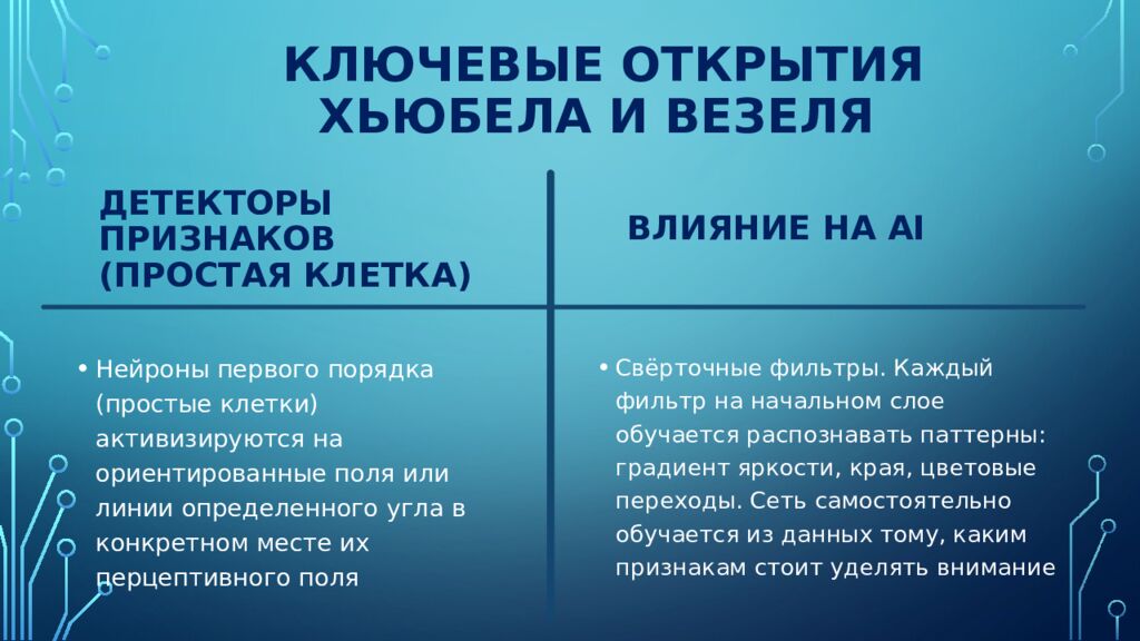 Ключевые Открытия Хьюбела и Везеля