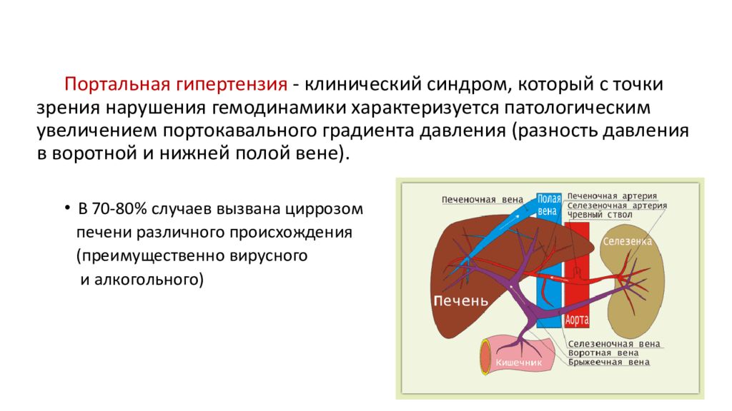 Портальная гипертензия хирургия презентация