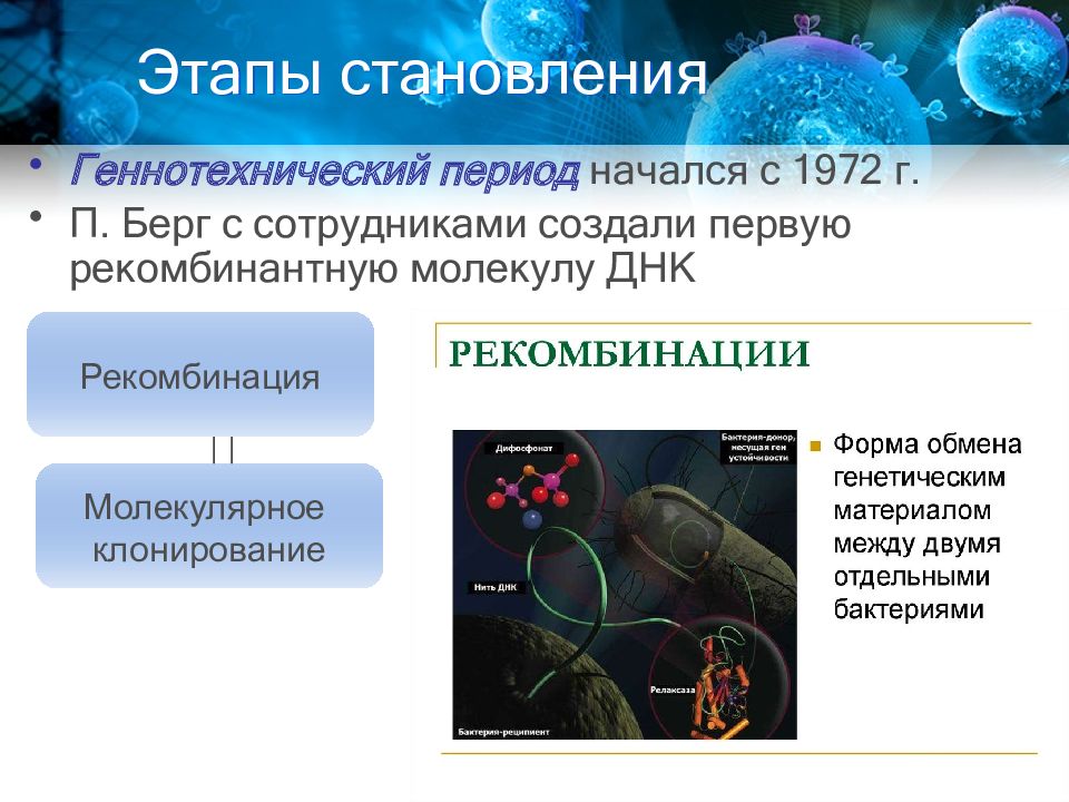 Селекция и биотехнология презентация