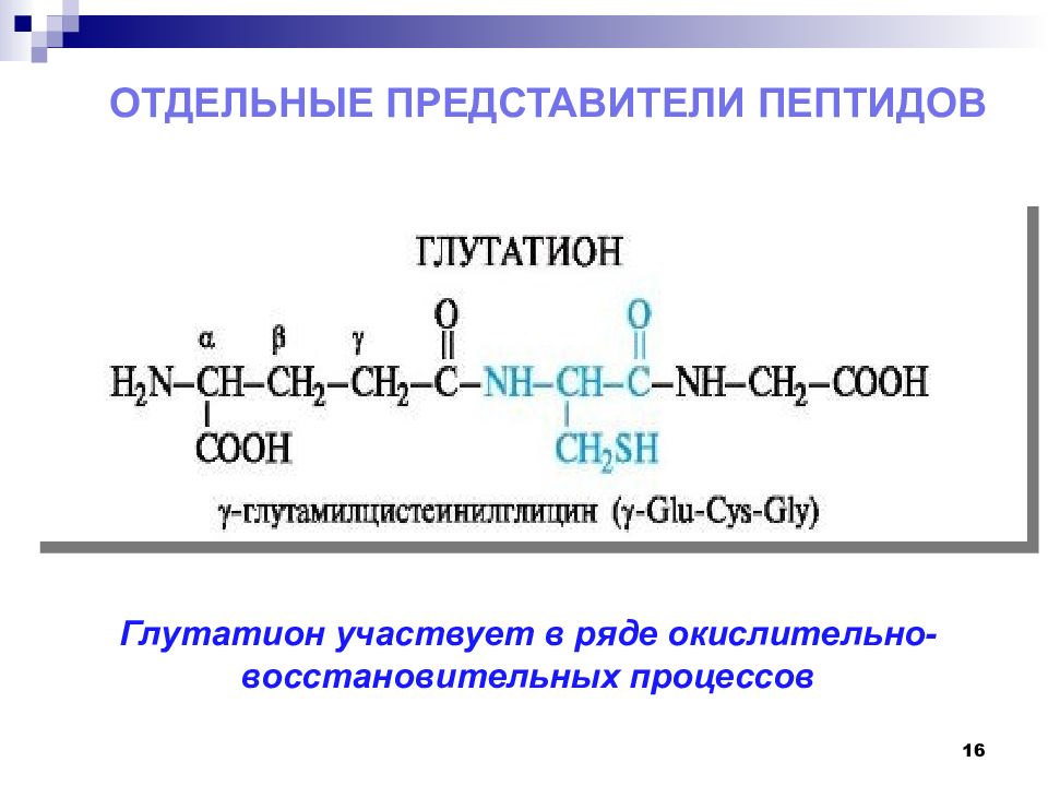 Полипептид строение. Глутатион формула трипептида. Трипептид глутатион. Глутатион формула пептида. Синтез пептидов глутатион.